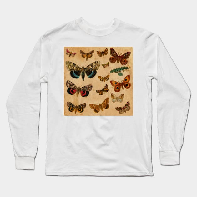 Watercolour Butterflies Long Sleeve T-Shirt by My Artsam